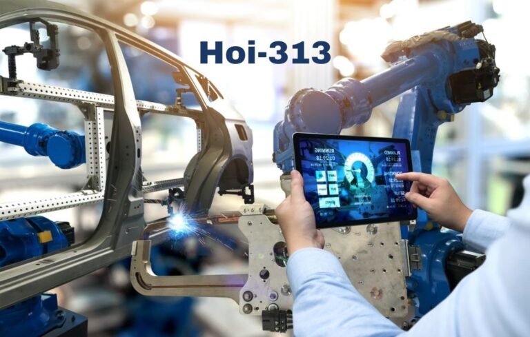 Hoi-313